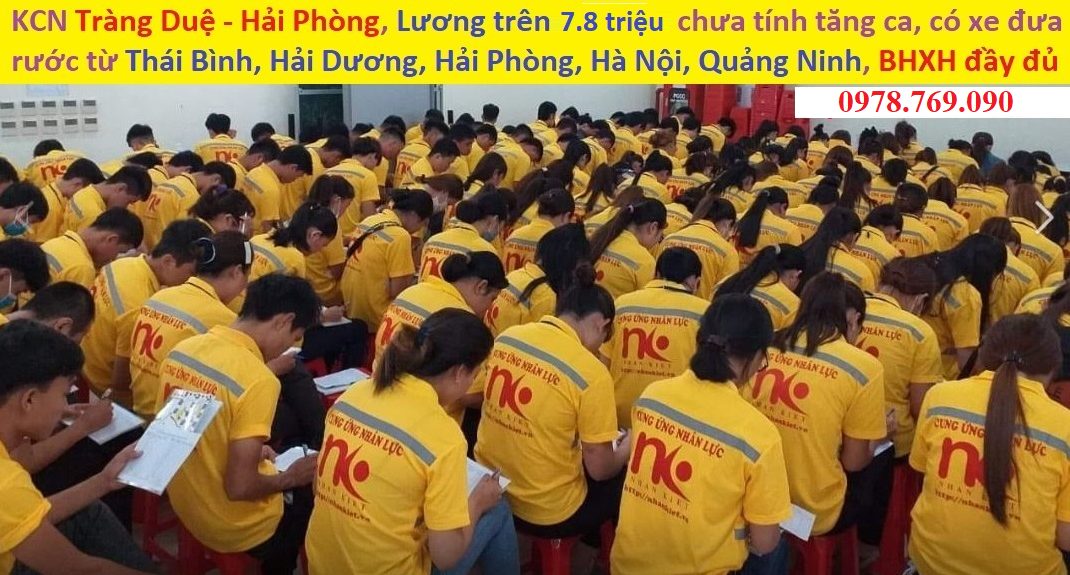 Tuyển LĐPT tại KCN Tràng Duệ, lương trên 7.800.000 đồng/tháng chưa tính tăng ca ngày nghỉ, có cơm, có đóng BHXH đầy đủ